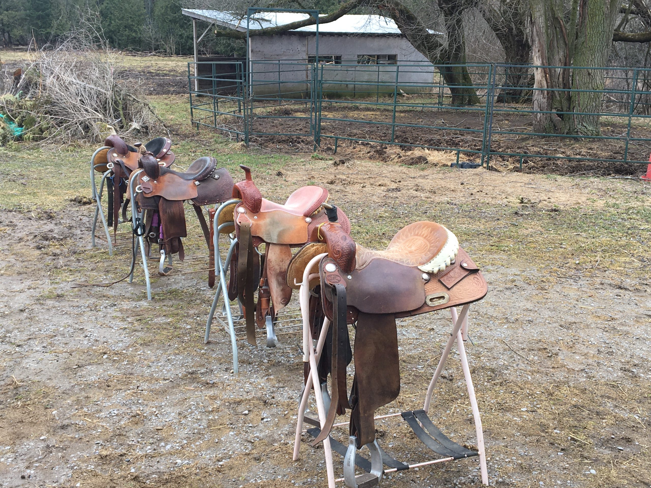 The Barrel Saddle Experiment – A.M. Fawns