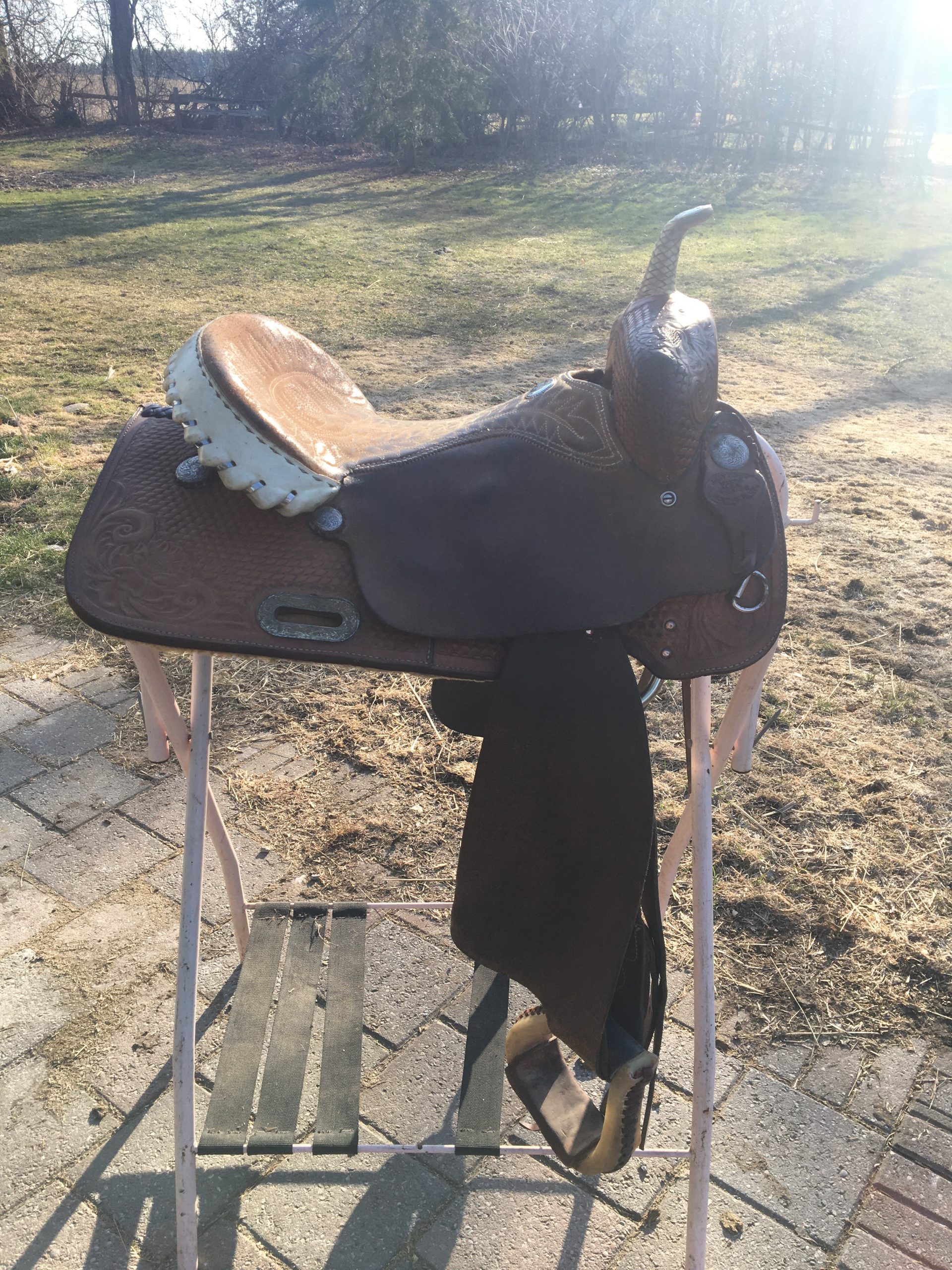 The Barrel Saddle Experiment – A.M. Fawns